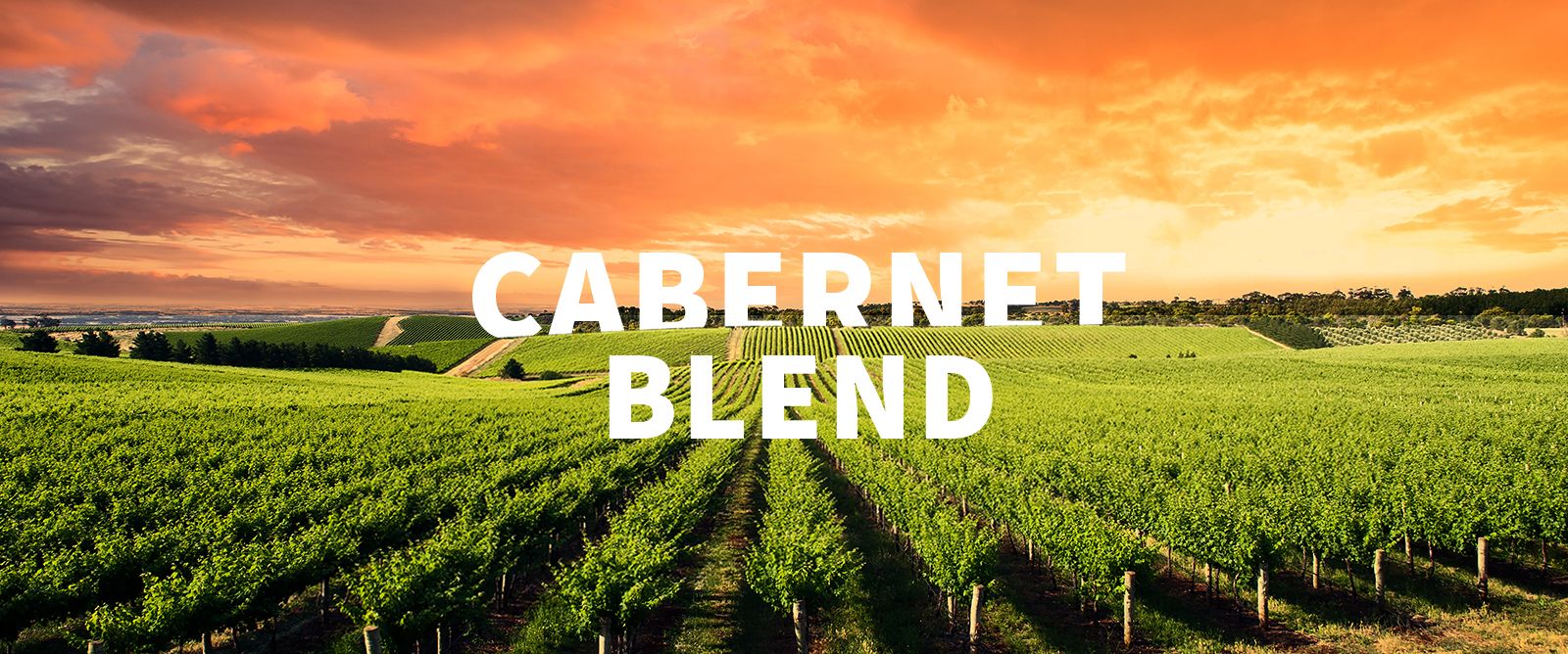 Picture for category Cabernet Blend