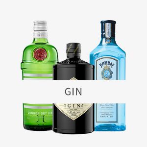Picture for category Gin