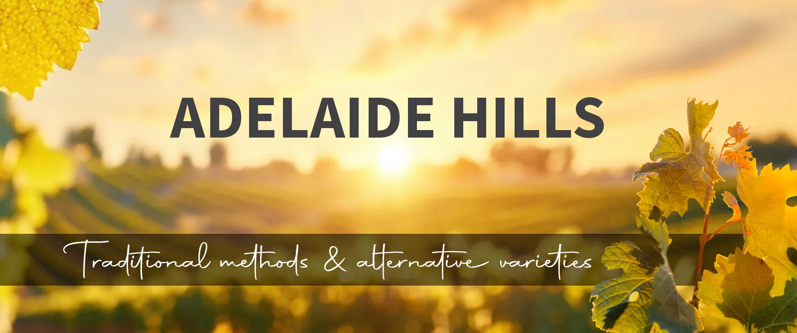 Picture for category Adelaide Hills