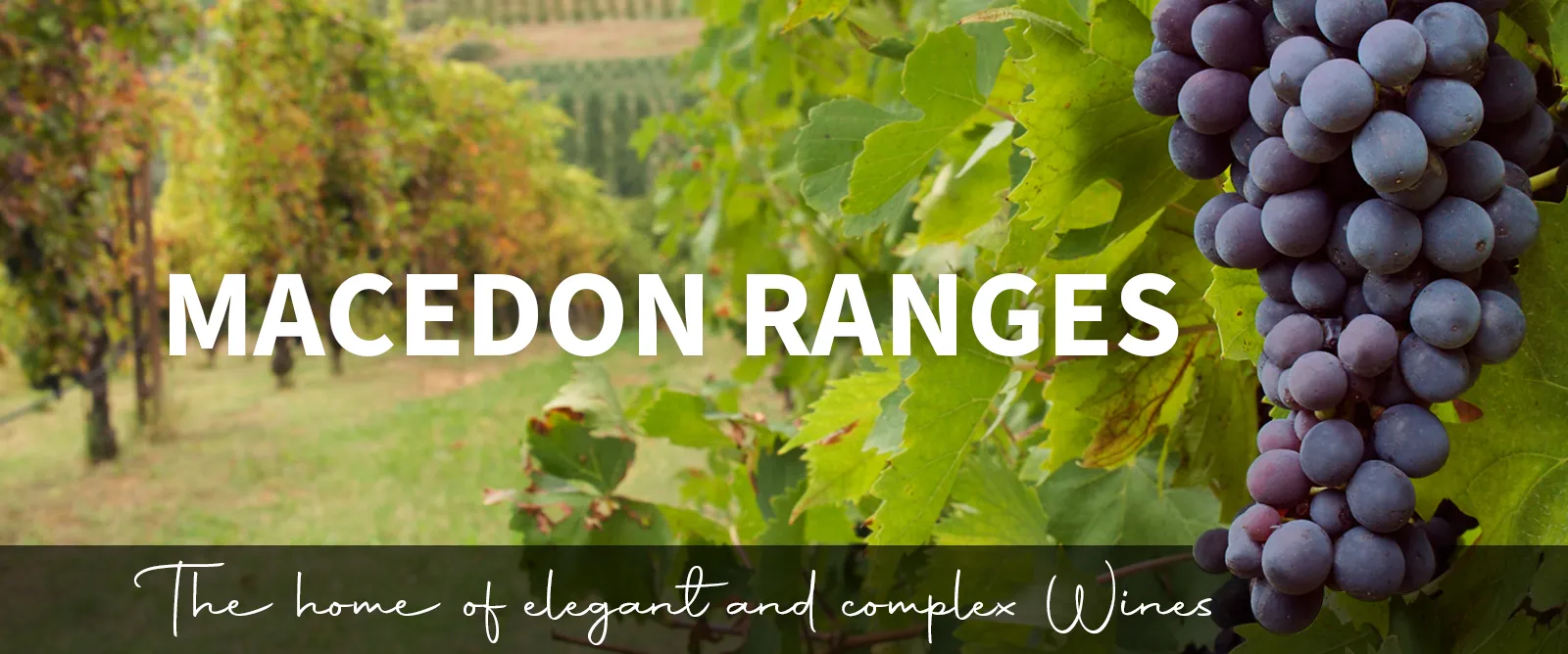 Picture for category Macedon Ranges