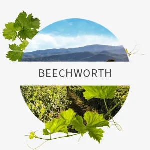 Picture for category Beechworth