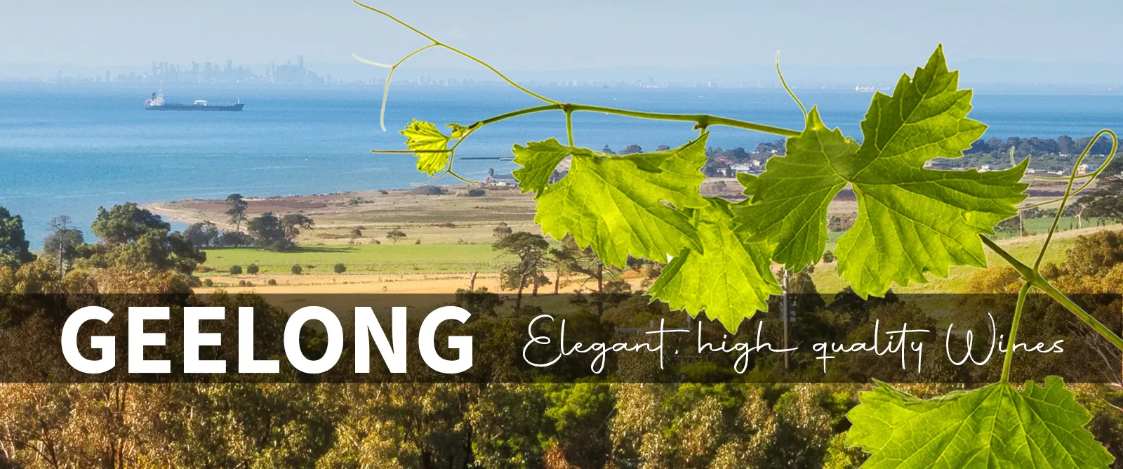 Picture for category Geelong