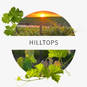 Picture for category Hilltops
