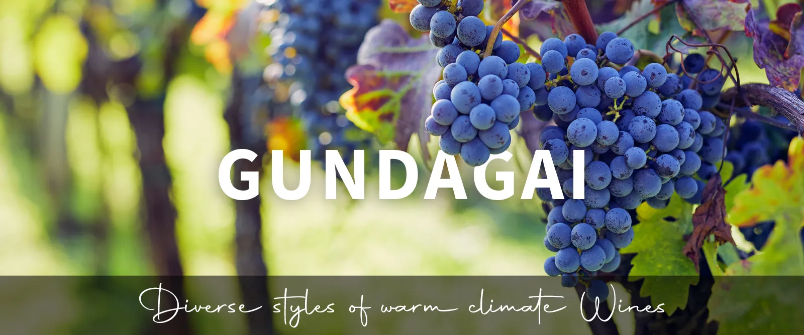 Picture for category Gundagai