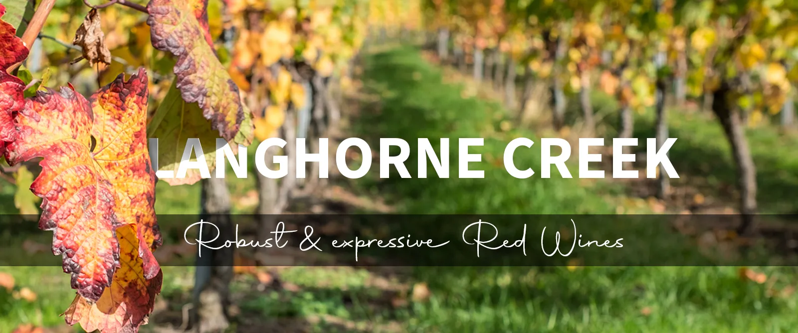 Picture for category Langhorne Creek
