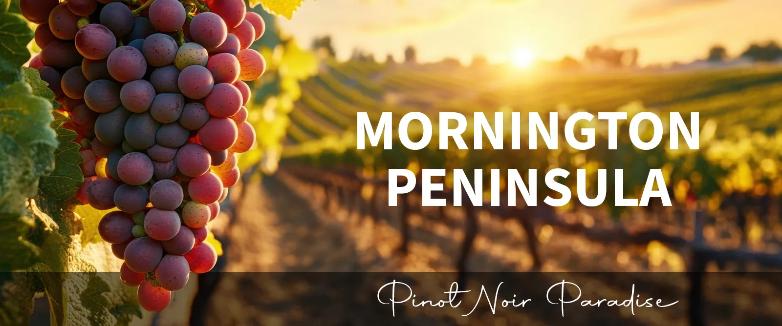 Picture for category Mornington Peninsula