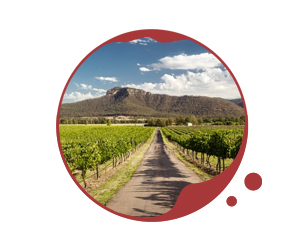  NSW Wine Regions icon