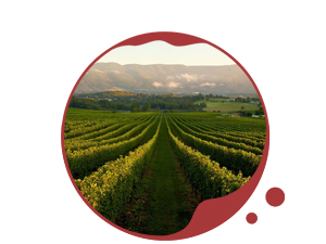  VIC Wine Regions icon