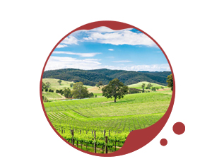  SA Wine Regions icon