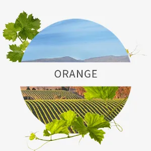 Picture for category Orange