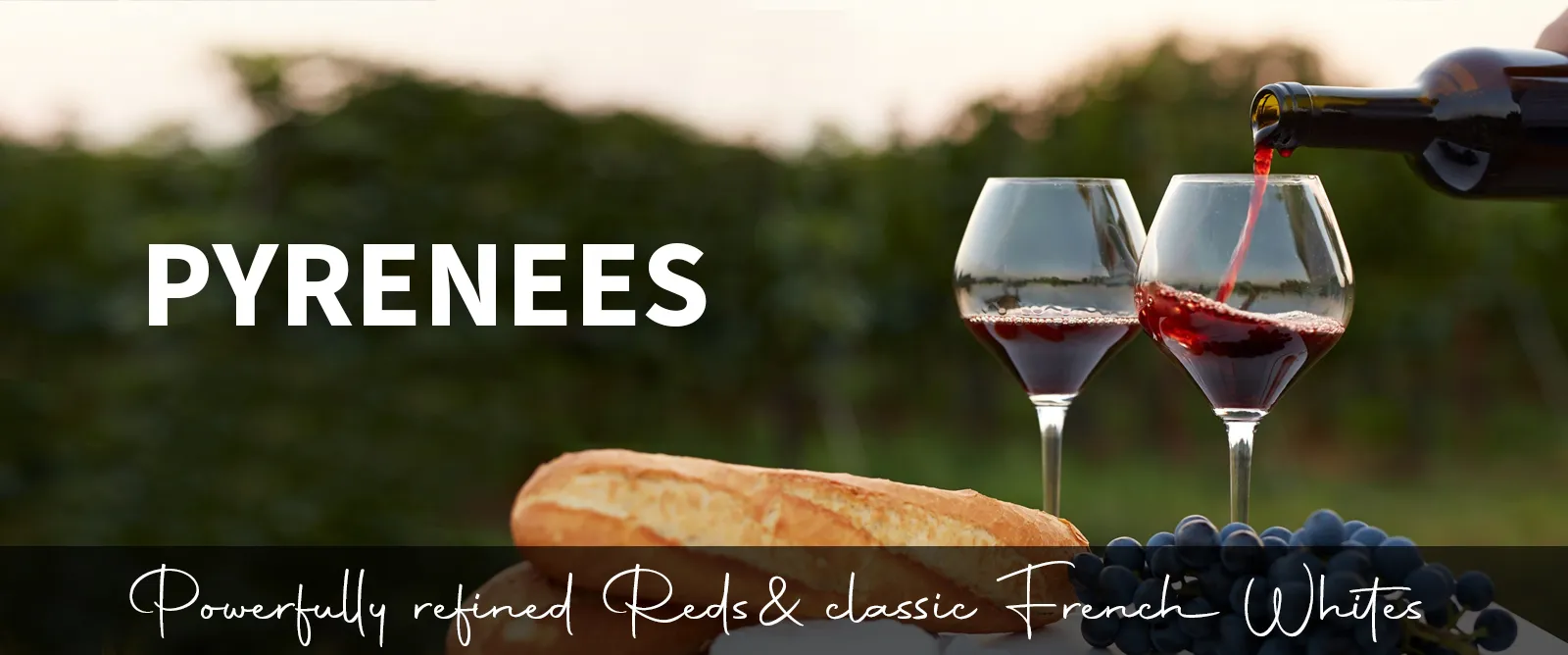 Picture for category Pyrenees