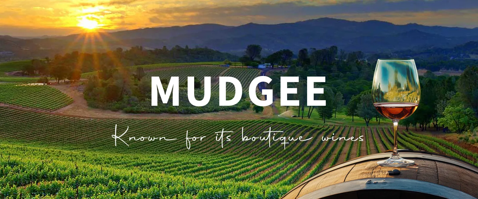Picture for category Mudgee