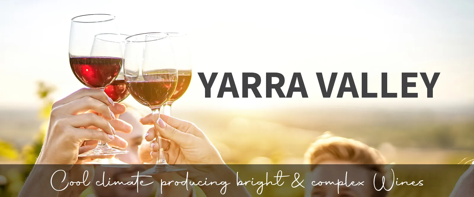 Picture for category Yarra Valley