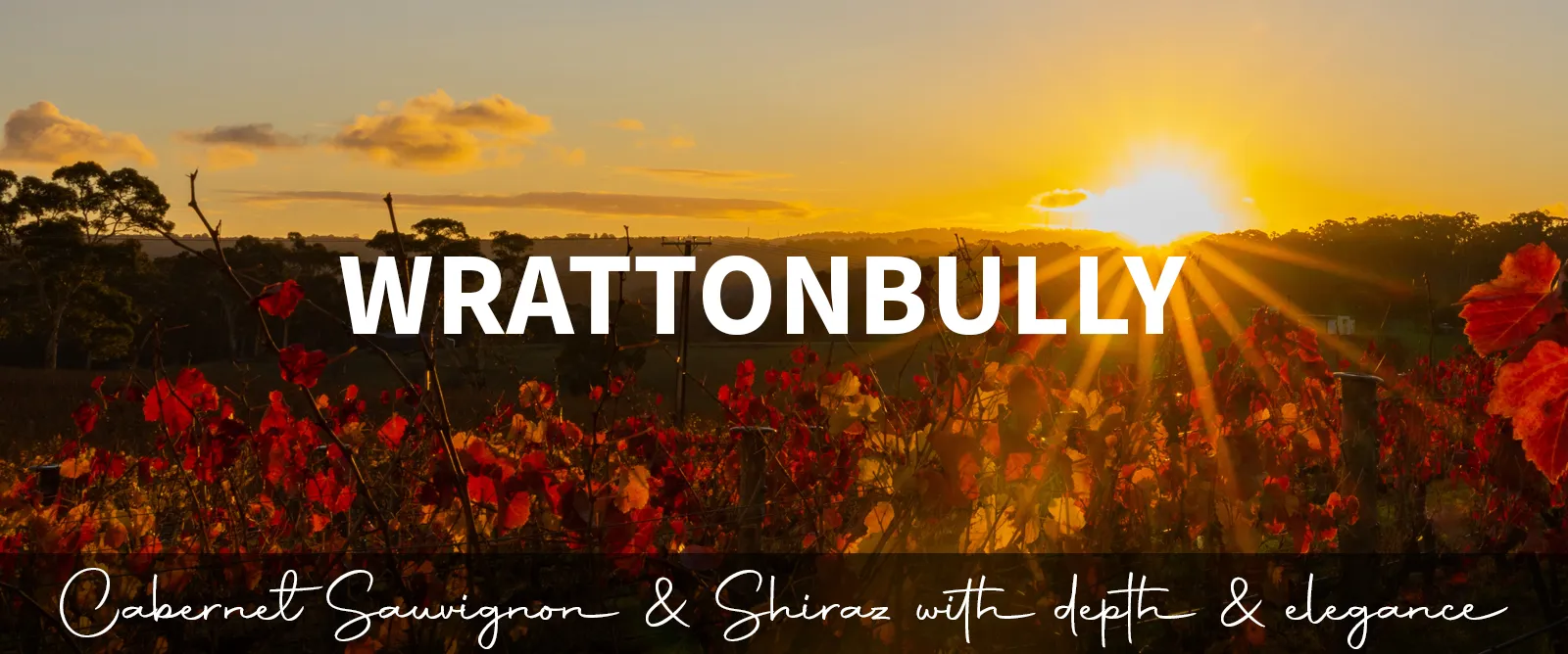 Picture for category Wrattonbully