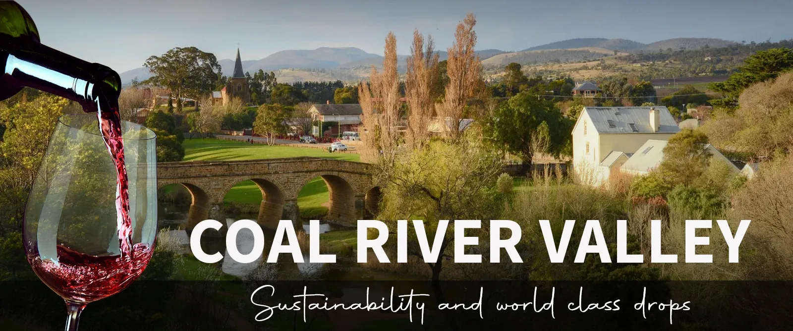 Picture for category Coal River Valley