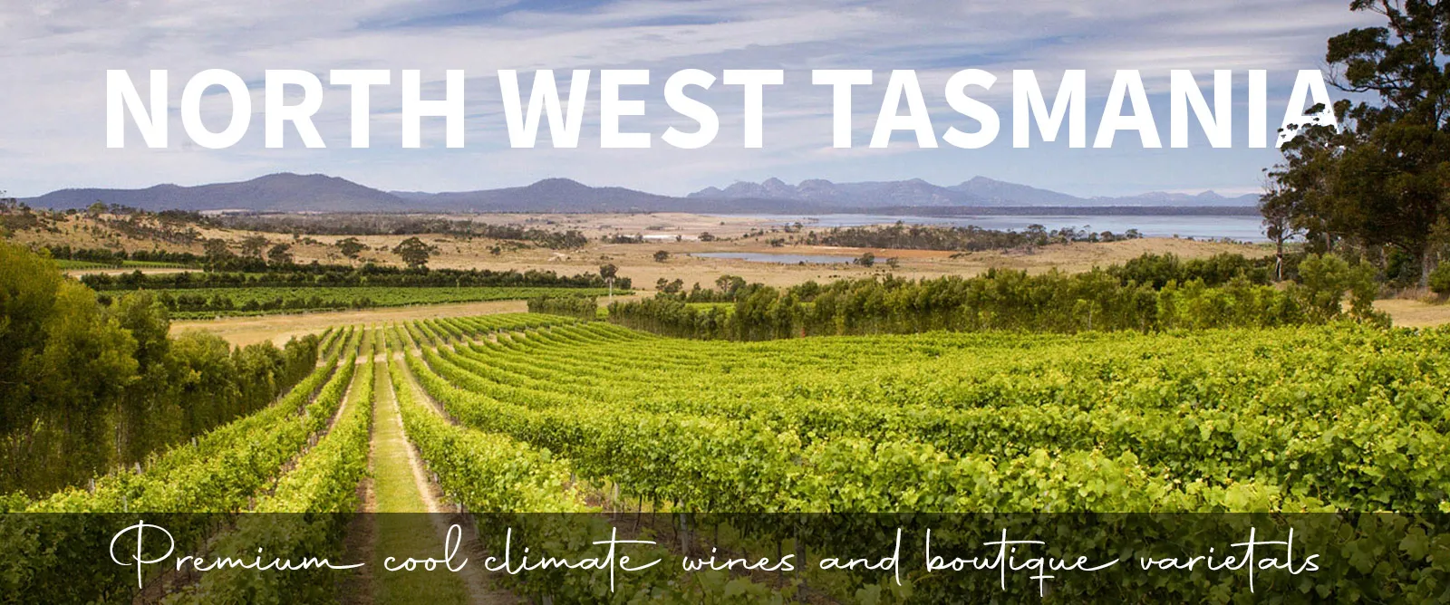Picture for category North West Tasmania
