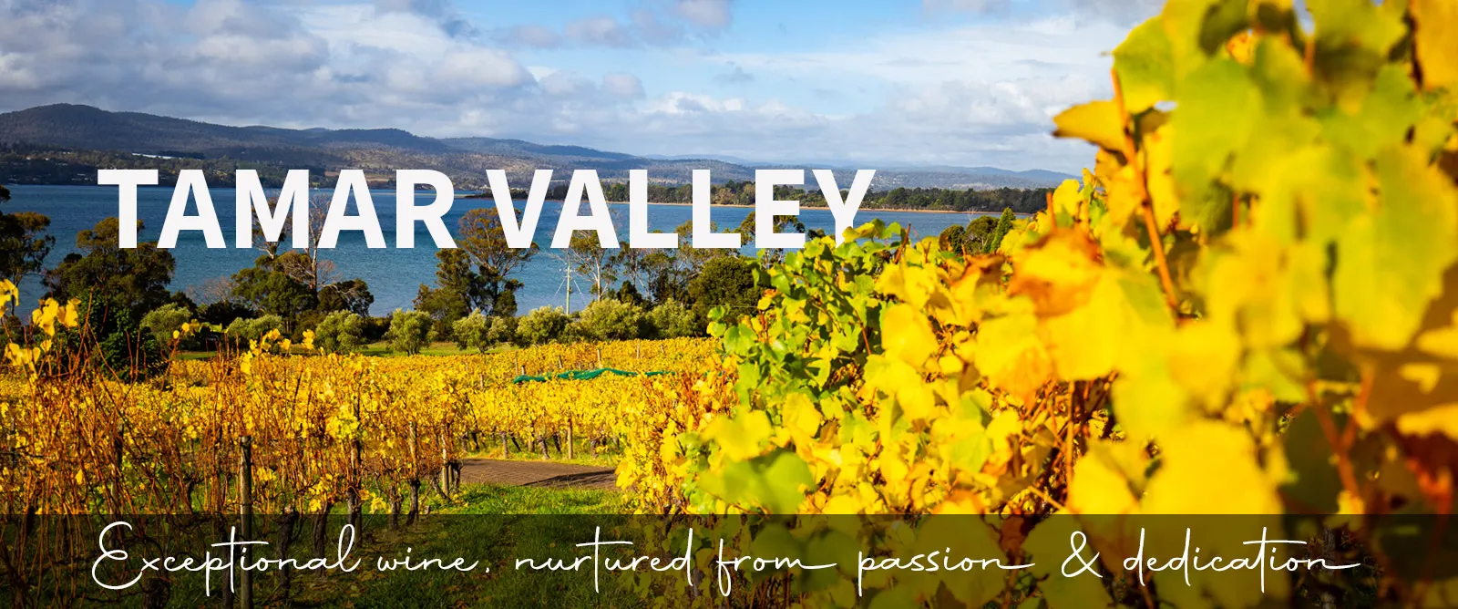 Picture for category Tamar Valley