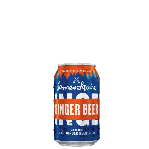 Picture of James Squire Alcoholic Ginger Beer 24 x 330ml Cans