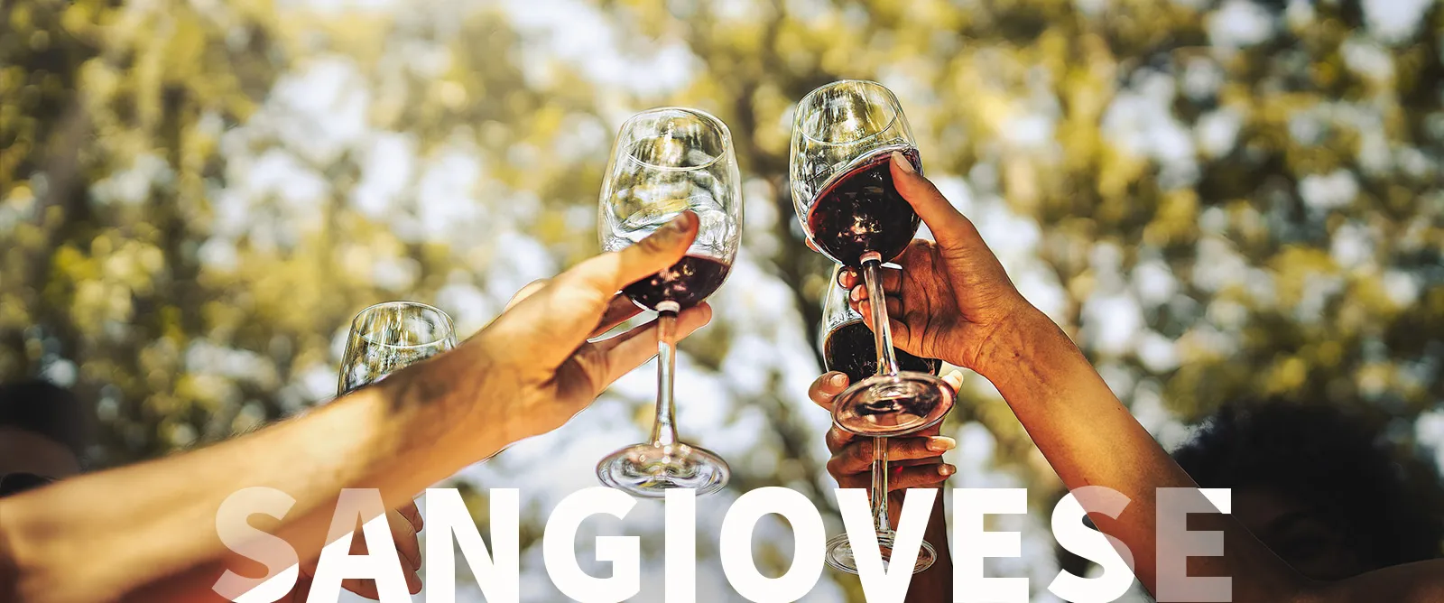 Picture for category Sangiovese
